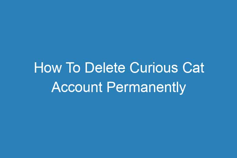 how to delete curious cat account permanently 2953